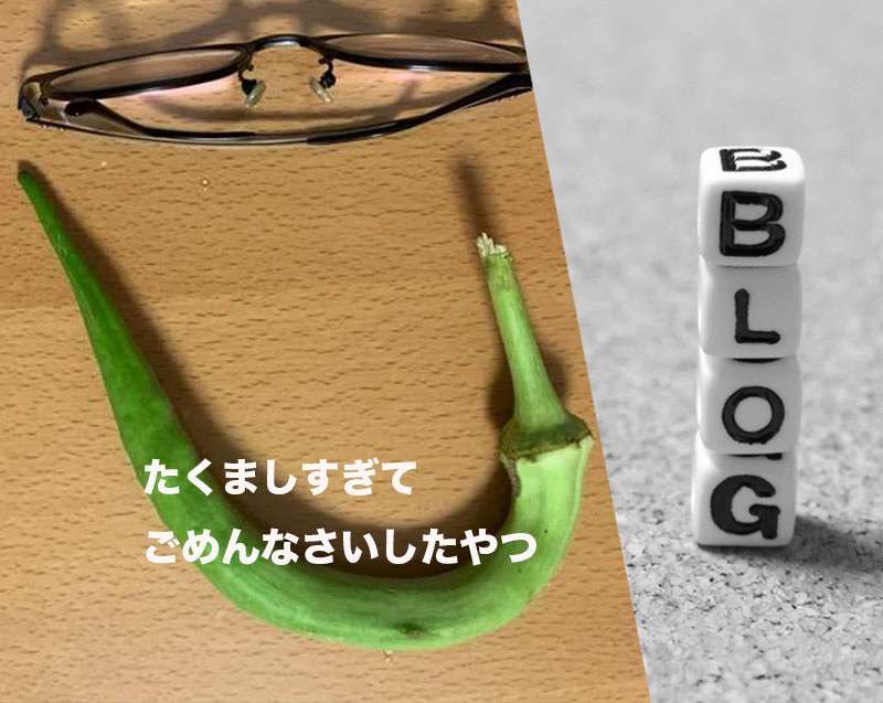 夏の終わりにおばけー