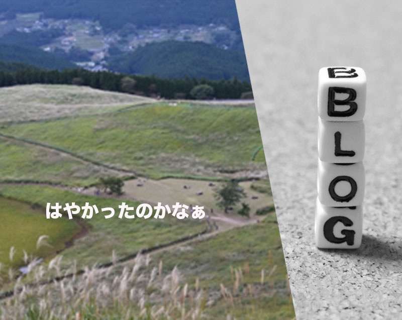 むむ、ちょい早い？それとも、、　曽爾高原　三重